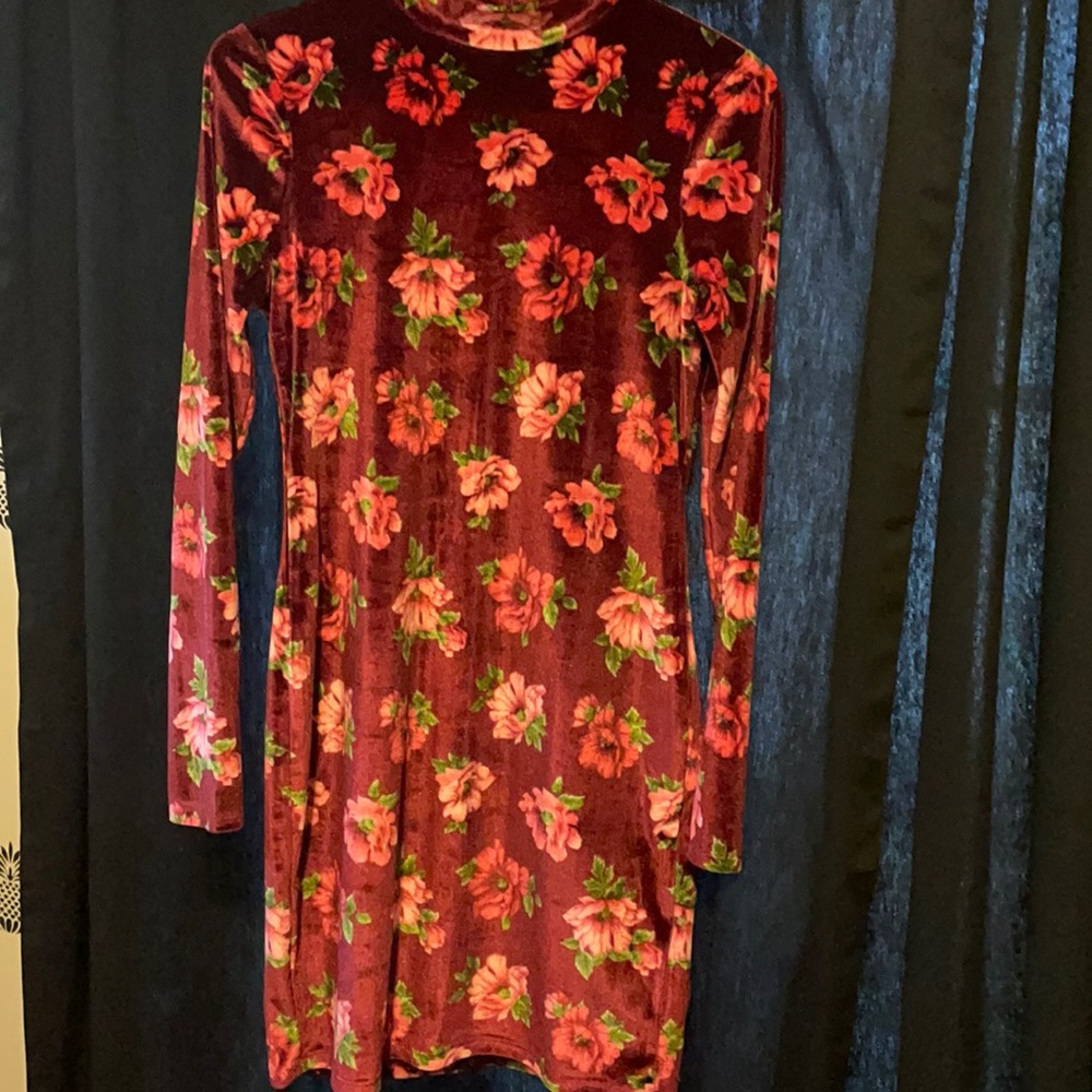 Forever 21 Velour Floral Dress